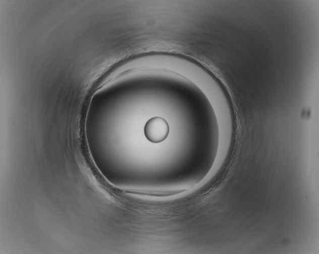 X0000111010581200907101318