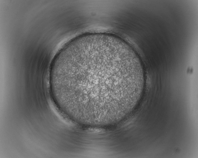 X0000111010582200907101318