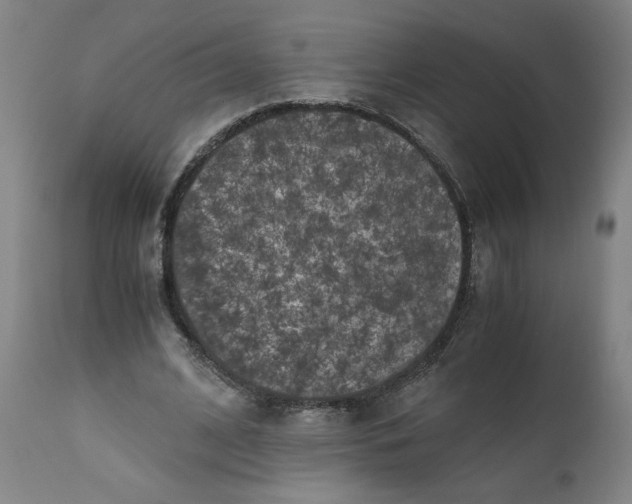 X0000111010584200907101318
