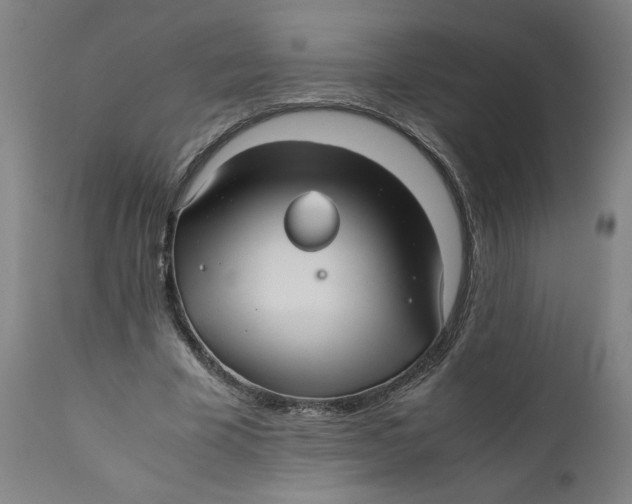 X0000111010585200907101318