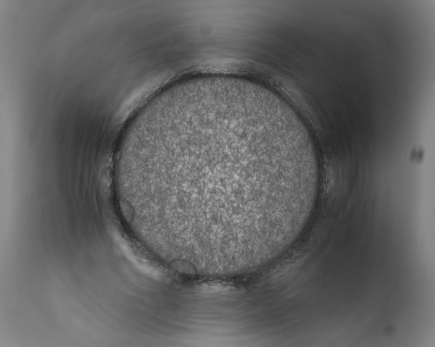 X0000111010586200907101318