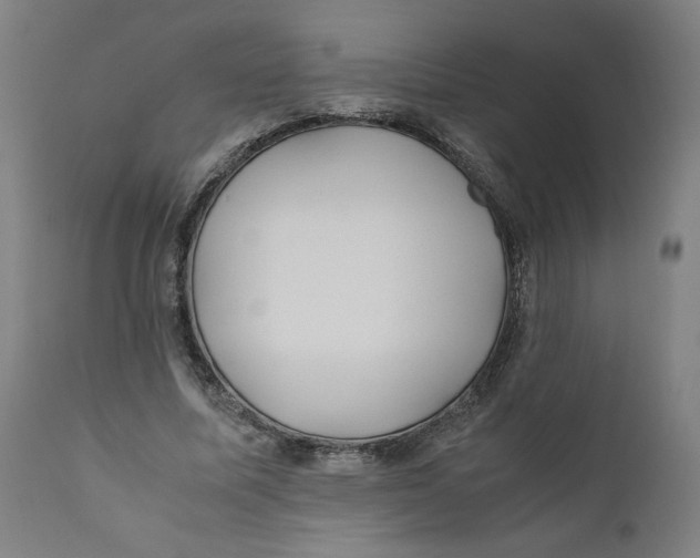 X0000111010587200907101318