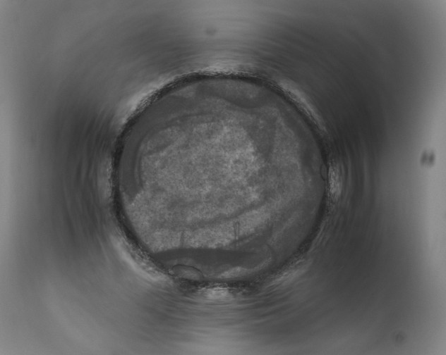 X0000111010588200907101317
