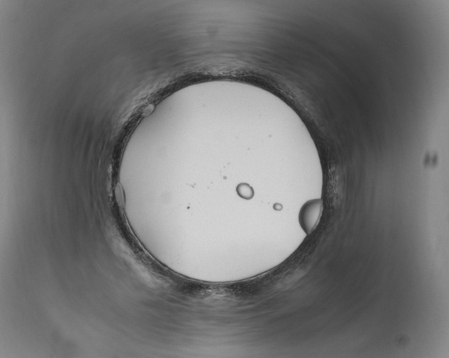 X0000111010589200907101317
