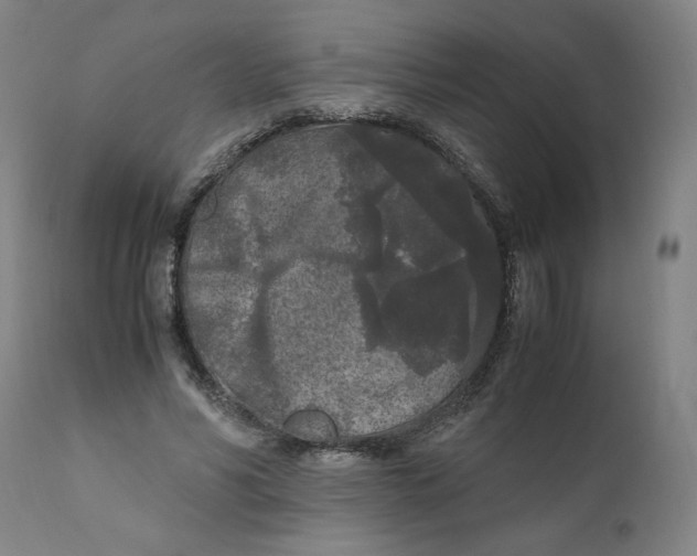 X0000111010590200907101317