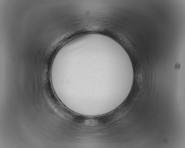 X0000111010591200907101317