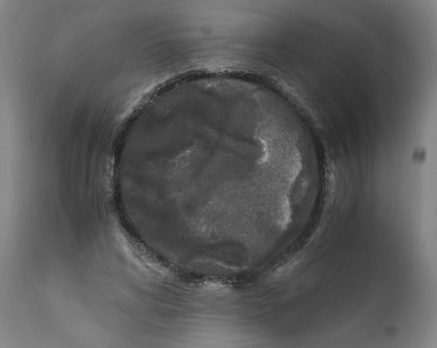 X0000111010592200907101317