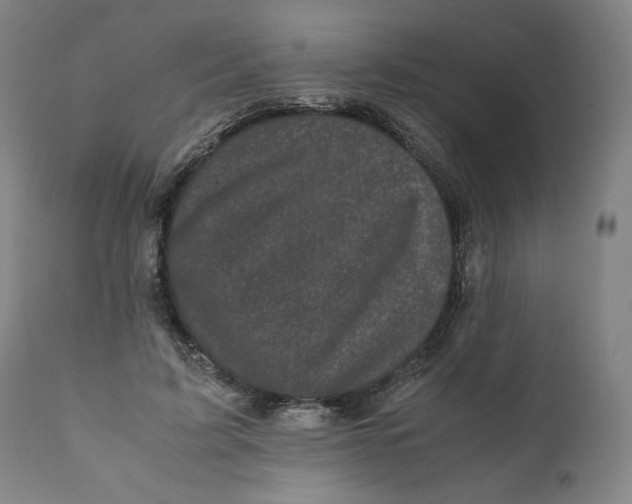 X0000111010595200907101317