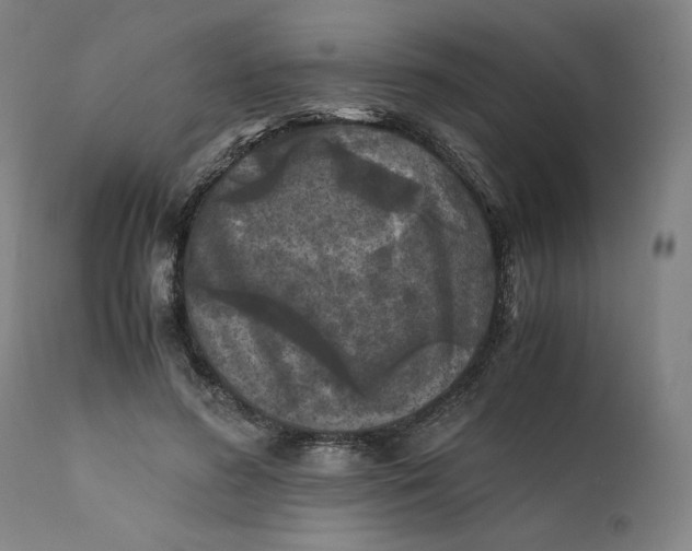 X0000111010596200907101317