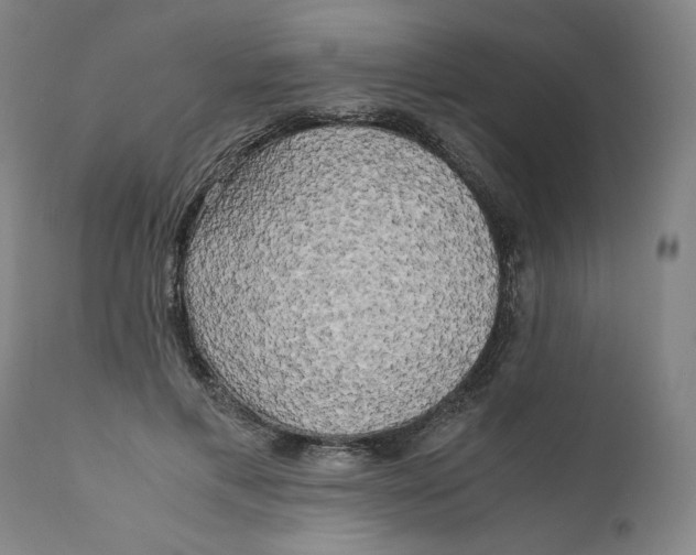 X0000111010597200907101317