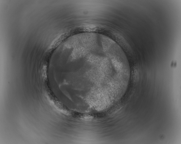 X0000111010598200907101317
