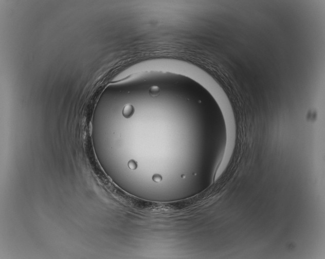 X0000111010599200907101317