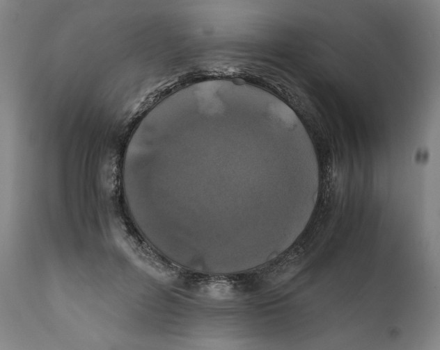 X0000111010600200907101317