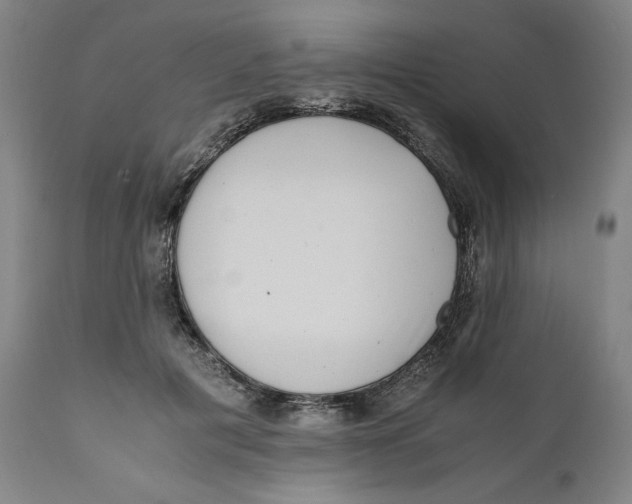 X0000111010601200907101317