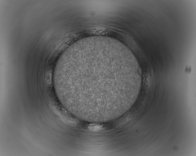 X0000111010602200907101317