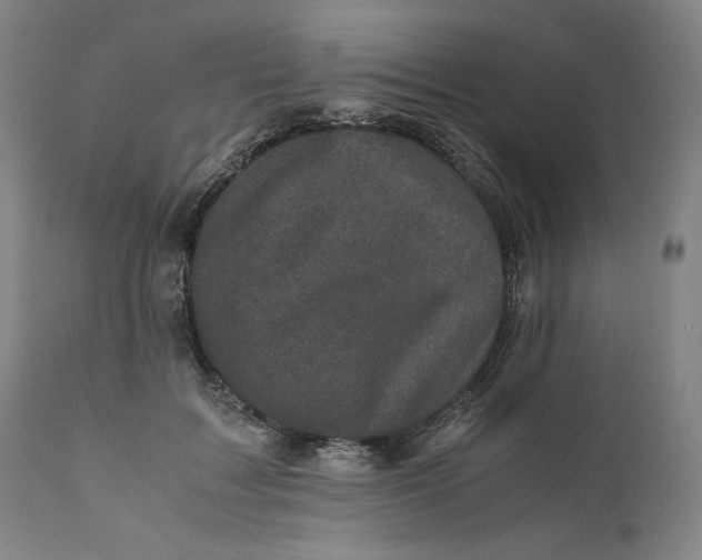 X0000111010603200907101317