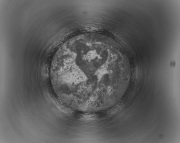 X0000111010606200907101317