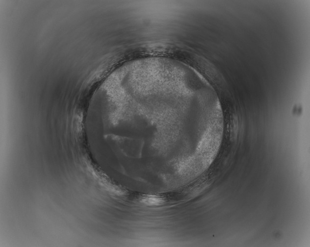 X0000111010610200907101317
