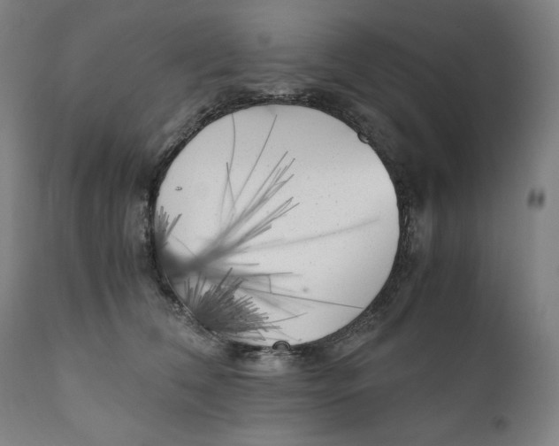X0000111010612200907101317