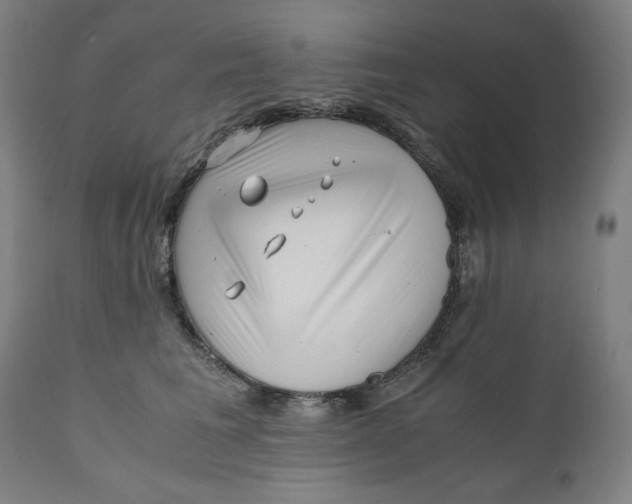 X0000111010613200907101317
