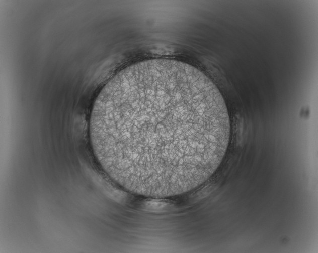 X0000111010614200907101317