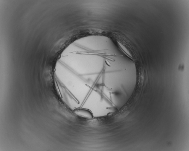 X0000111010616200907101317