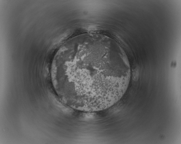 X0000111010618200907101317