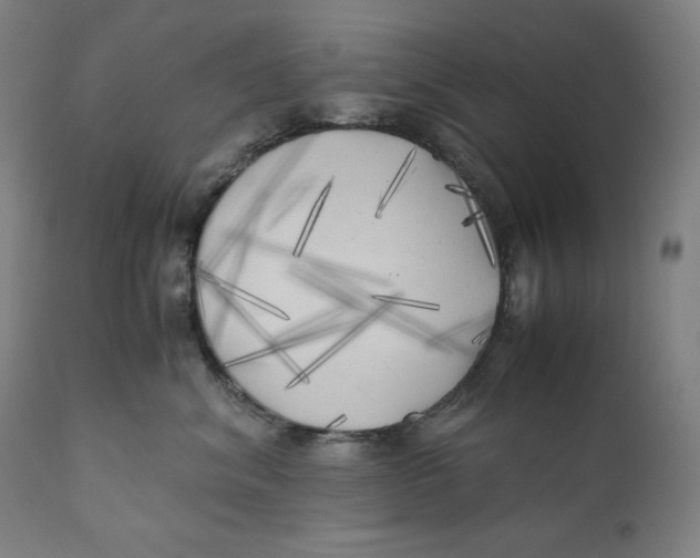 X0000111010620200907101317