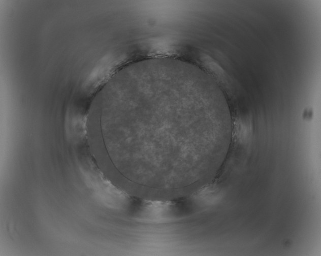 X0000111010621200907101317