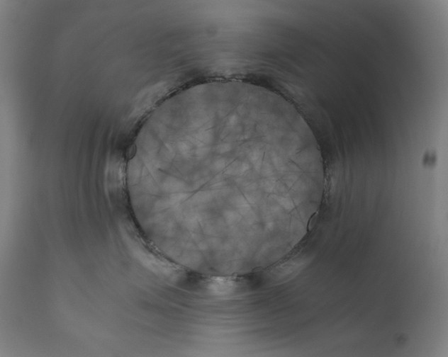 X0000111010623200907101317