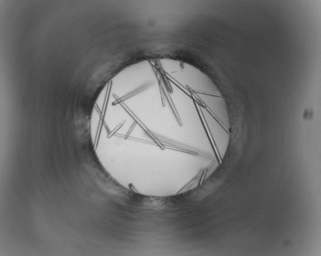X0000111010624200907101317