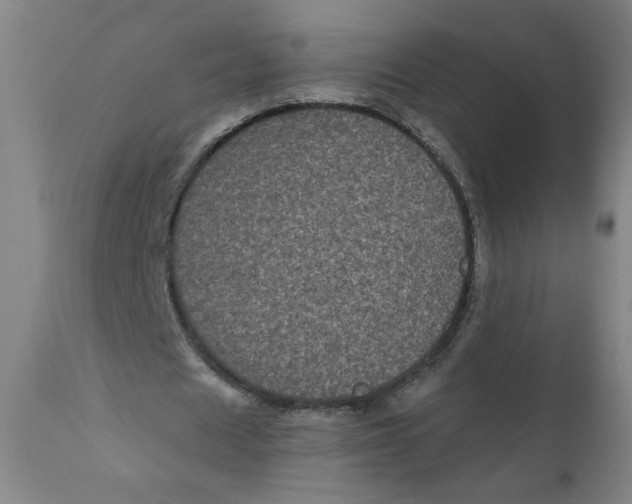 X0000111010625200907101316