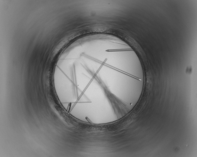 X0000111010626200907101316