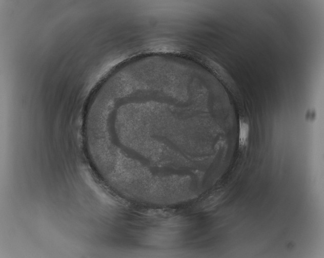 X0000111010627200907101316