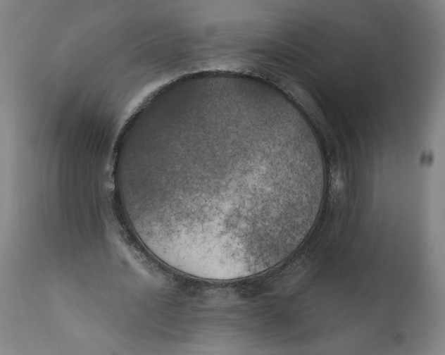 X0000111010628200907101316