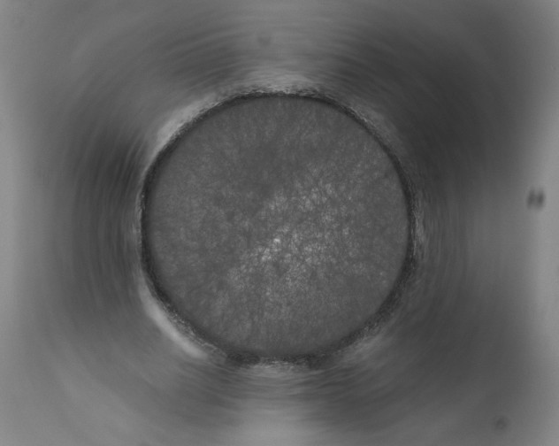 X0000111010630200907101316
