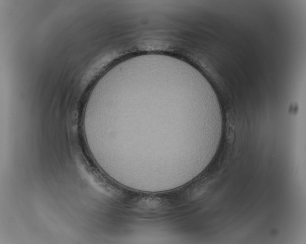 X0000111010631200907101316