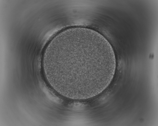 X0000111010632200907101316