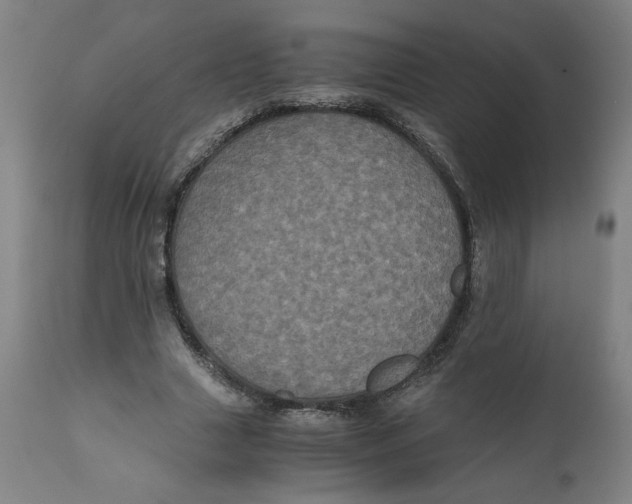 X0000111010633200907101316