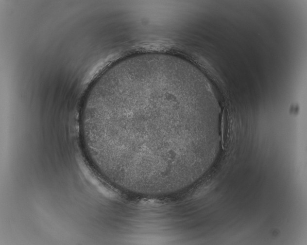 X0000111010634200907101316