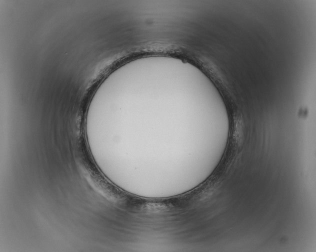 X0000111010636200907101316