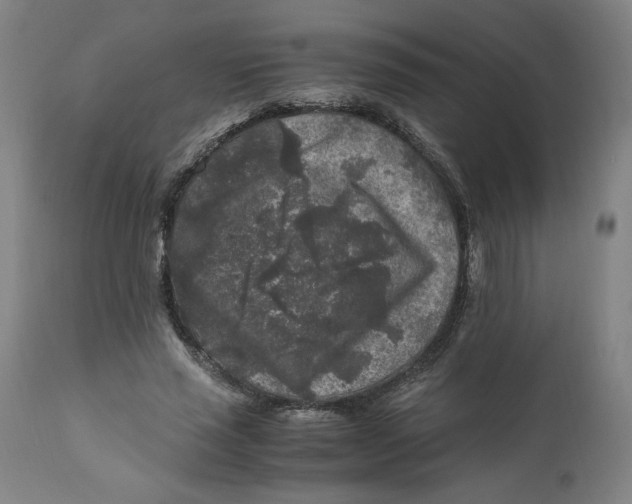X0000111010637200907101316