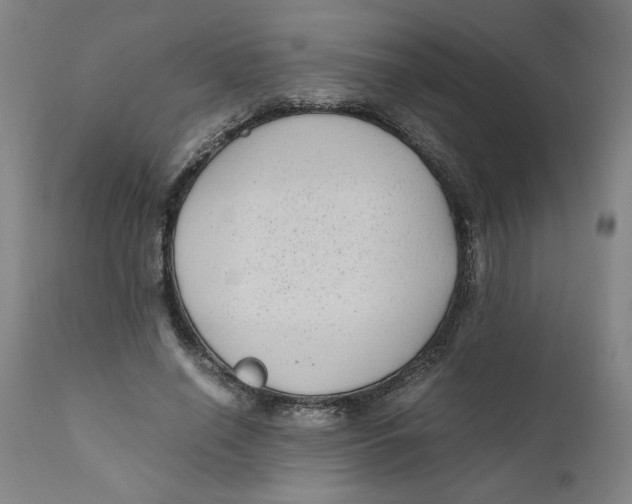 X0000111010638200907101316