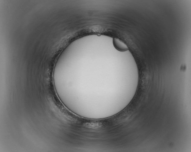 X0000111010639200907101316