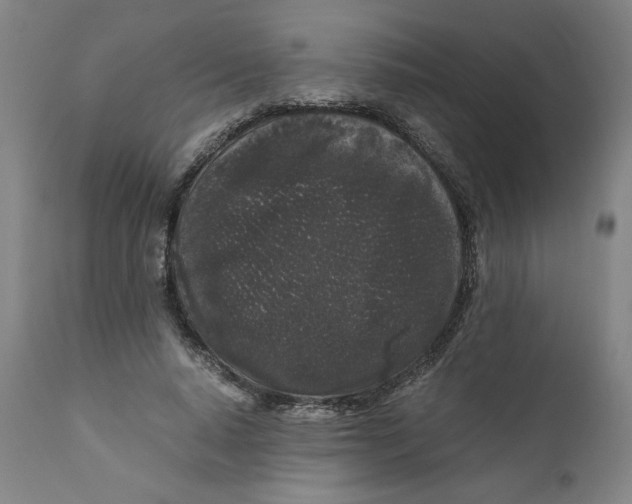 X0000111010640200907101316