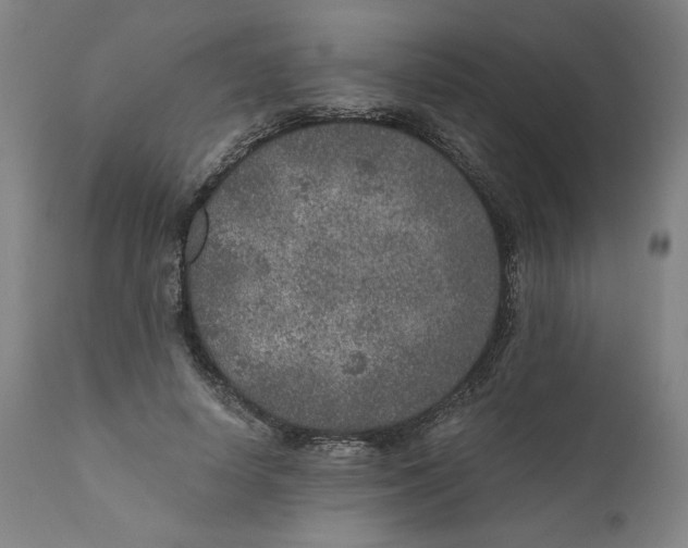 X0000111010642200907101316