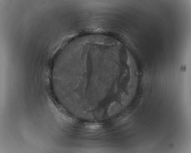 X0000111010643200907101316