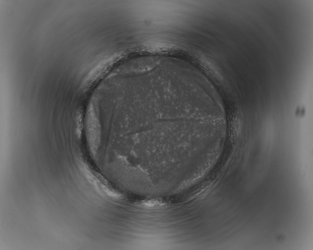 X0000111010644200907101316