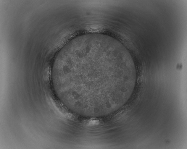X0000111010647200907101317