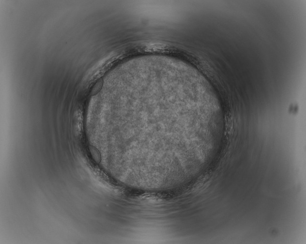 X0000111010648200907101317
